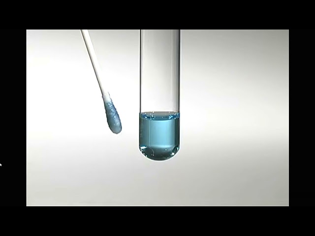 Videos de la empresa sobre Comparison of nylon flocked swabs and traditional fiber swabs