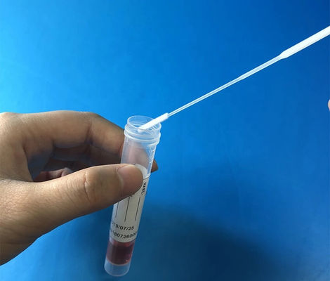 Muestreo de las esponjas bucales de la DNA de la fibra de nylon con punto de desempate moldeado en el palillo de la esponja